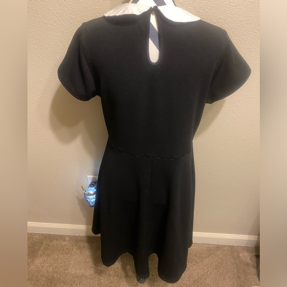 Torrid short sleeve black dress with white collar - Picture 2 of 8